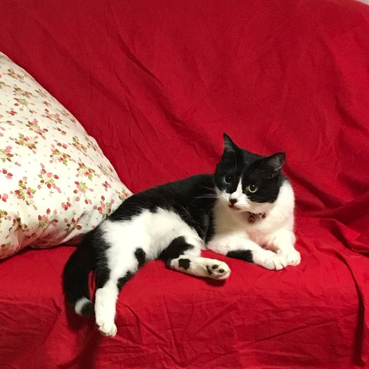 D0140850 f9a7 4f68 aa7b 38d897e0c2fe 1556021634165