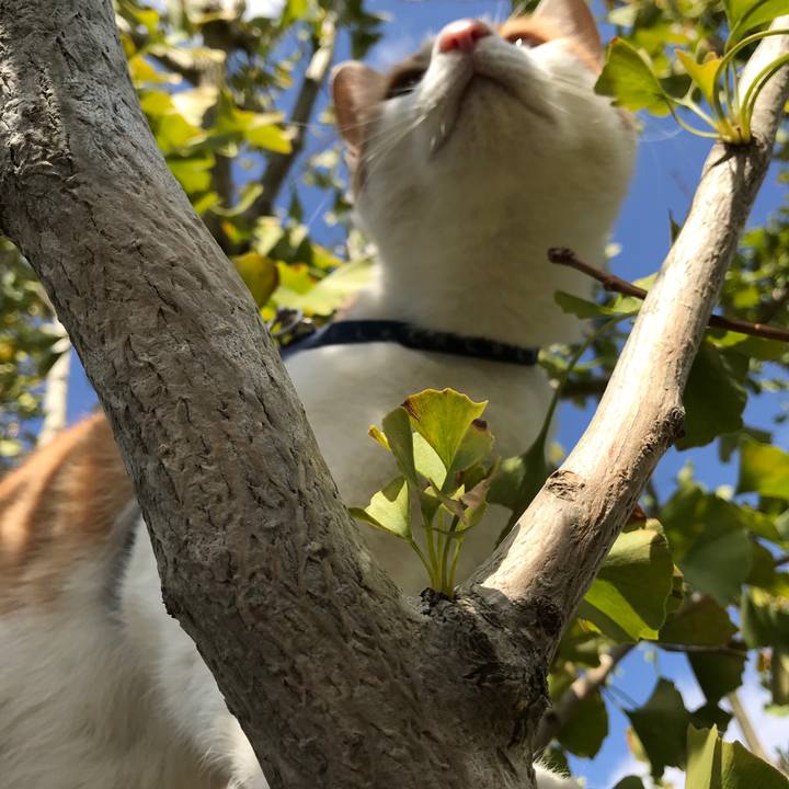 D014300c 110b 4ffd 945a 955733df8935 1509415487739