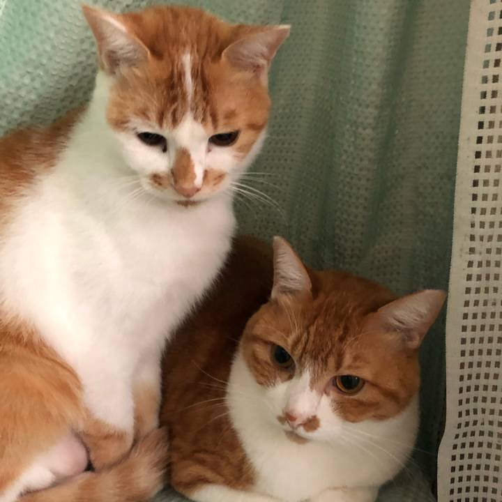 D0143d25 f6c2 4e4c a899 4cebf6b5a1cf 1600699931188