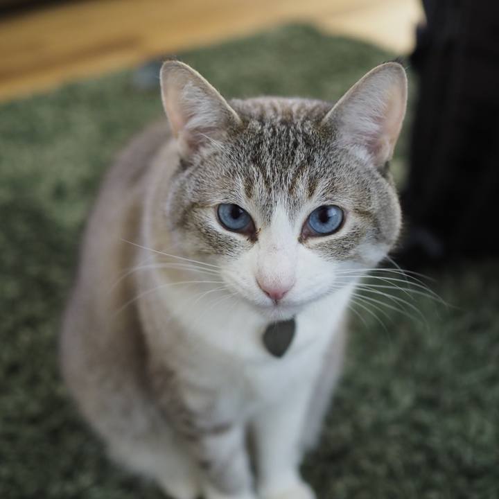 D0143fcf e3c5 43c8 a843 8043f3078a2b 1653880823270