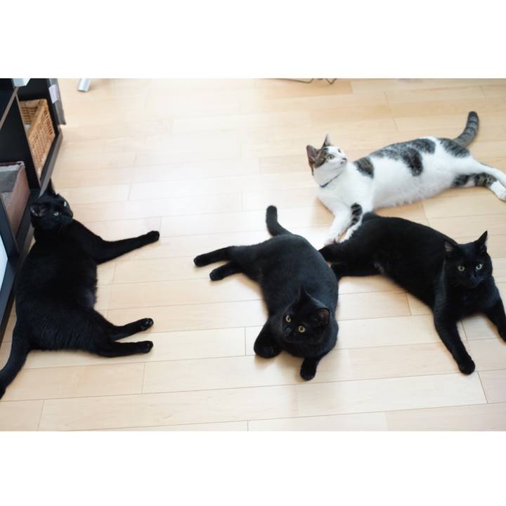 D0143fe2 63bd 4ed4 b80e 32bddf0c1f91 1530574680444