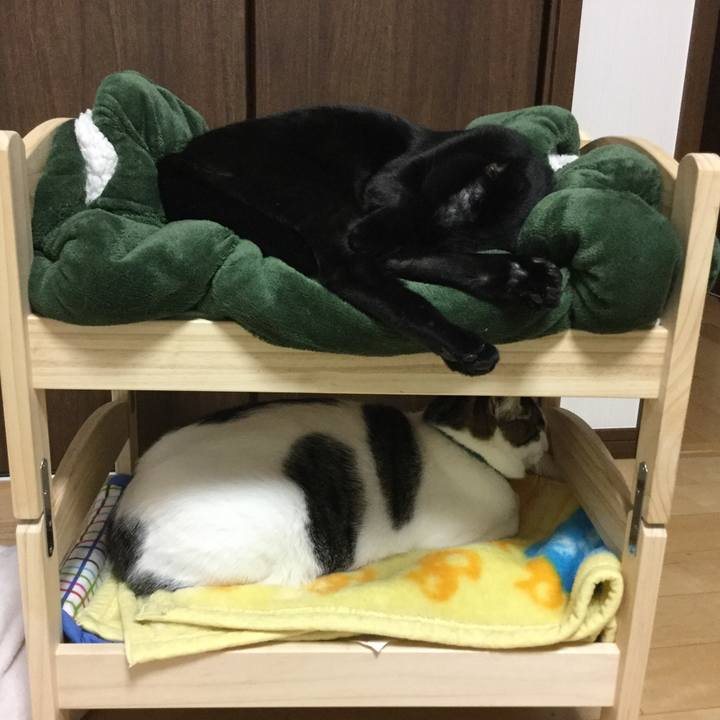 D014416b 1f35 4a01 8945 44a936d30dd5 1517748481062