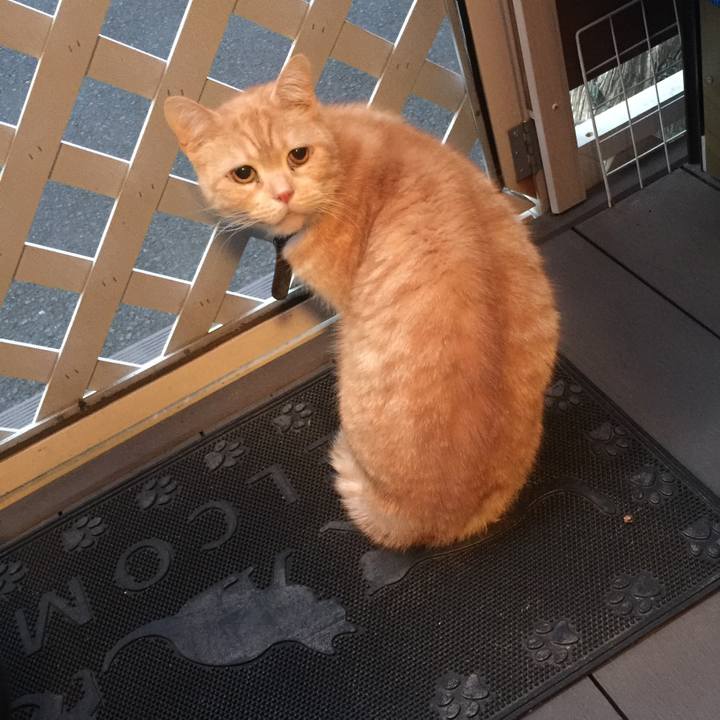 D01498b9 d910 4a3a ad47 4fad79c28355 1555407455117