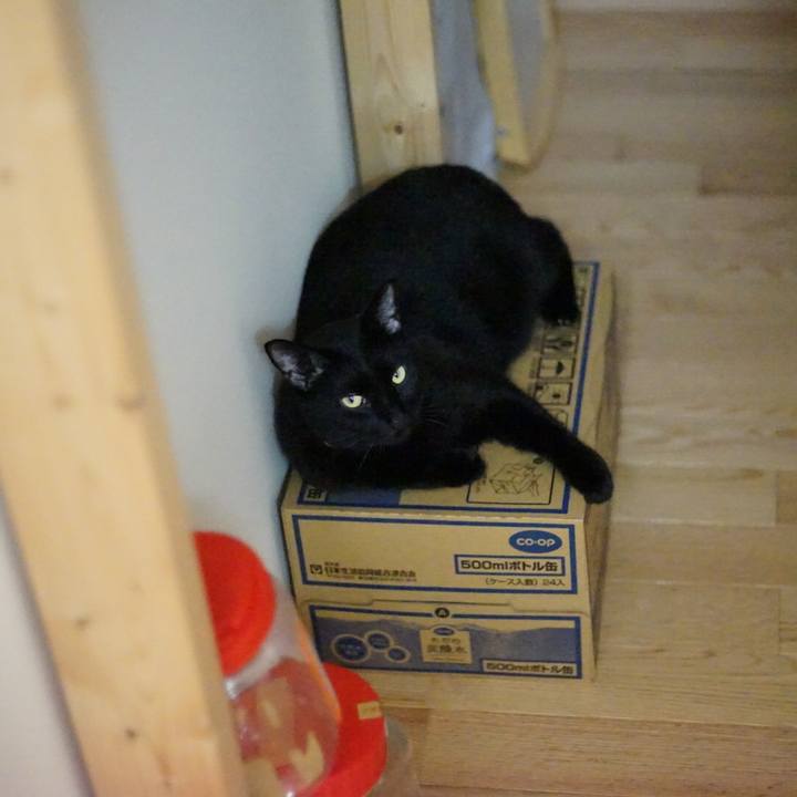 D014b4e5 4fbb 4388 a1a4 8a81cdcc5676 1531922221889