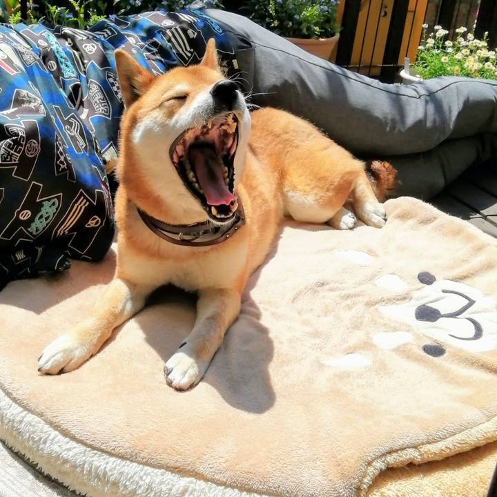 D0150064 95e2 4b6b 9b08 5385a46f0857 1586573548878