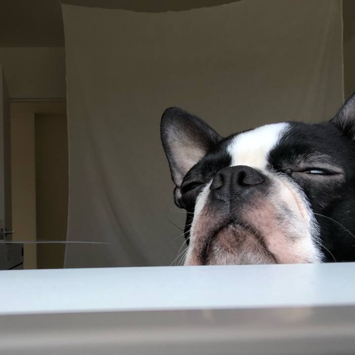 D0150992 4223 4cd2 8638 619a647890fa 1520993889167