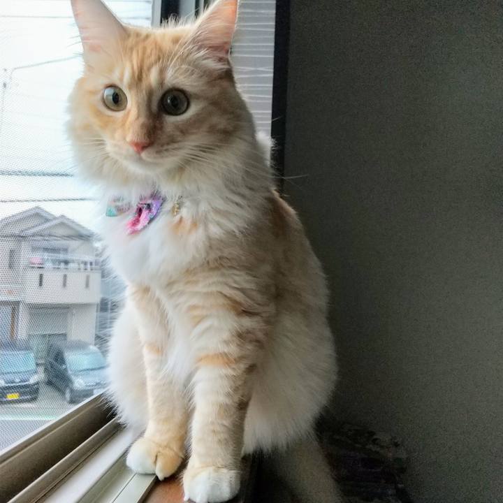 D0154471 bd27 4813 8cc5 a0d000c2af15 1630190287675