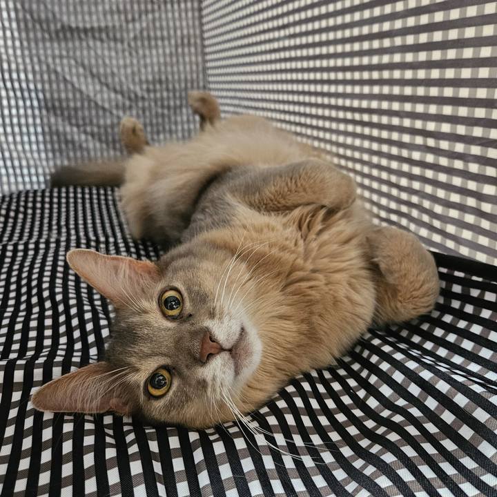 D0156f25 6107 43e5 a367 ed22684a397d 1727180559444