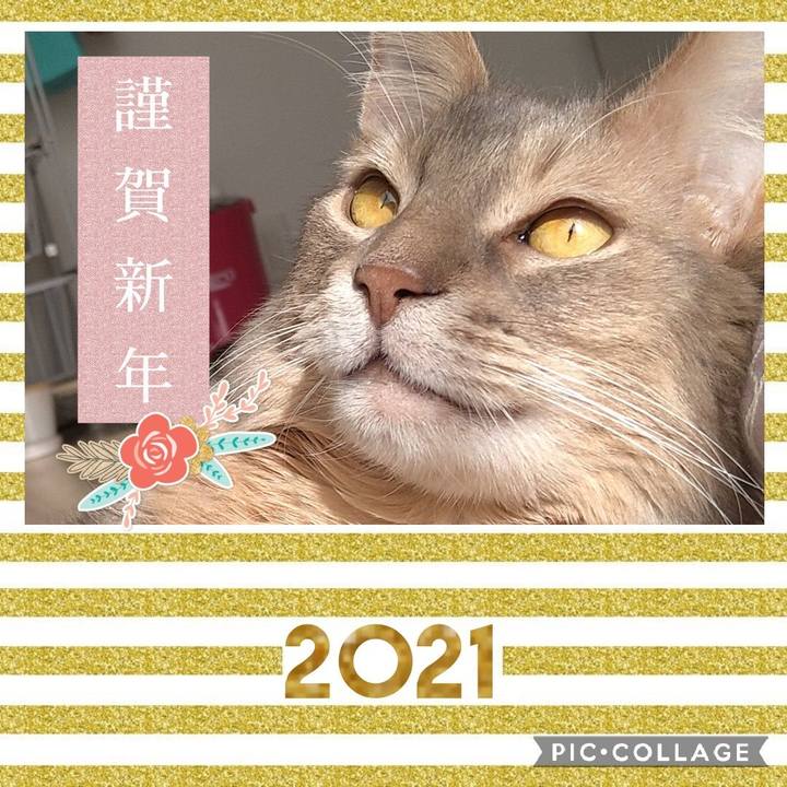 D01580d3 2aaa 41a4 9e87 bee90084c794 1609472497205