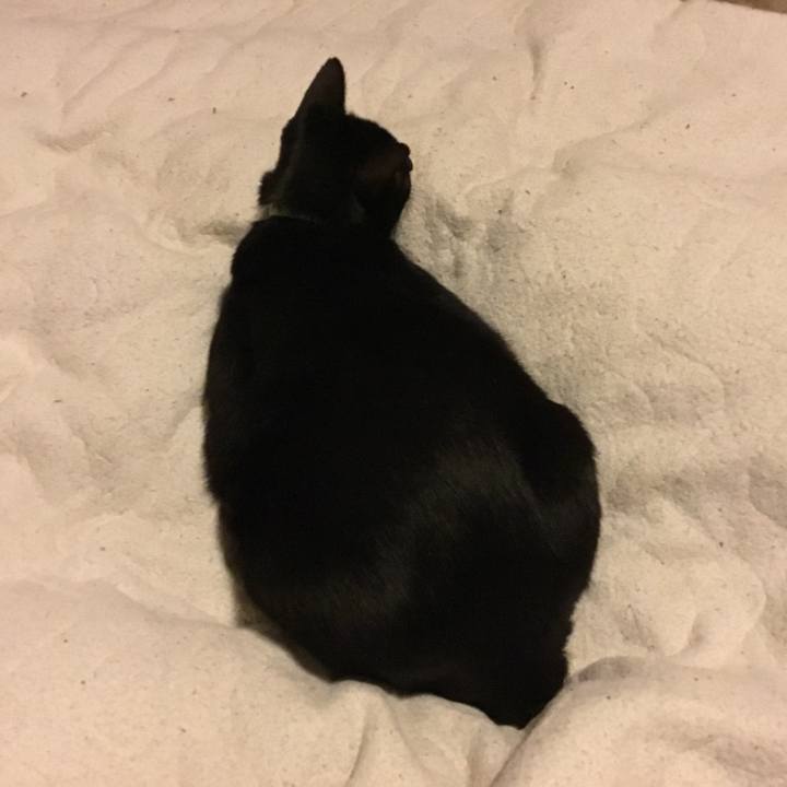 D0158f1d cdd8 4fbd 9a91 815d1efb6c13 1511827217641