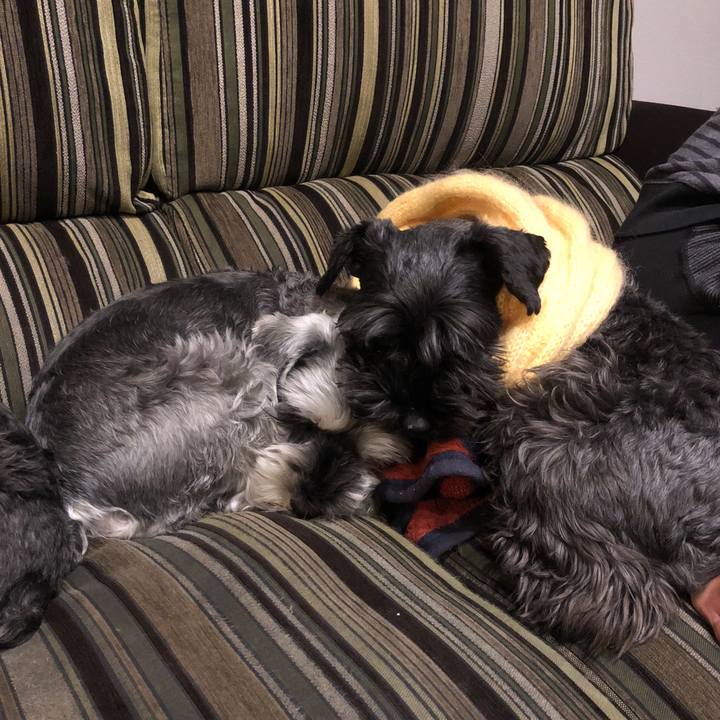 D0162212 1fff 4c6e bf30 f59279cc95c0 1516973402007