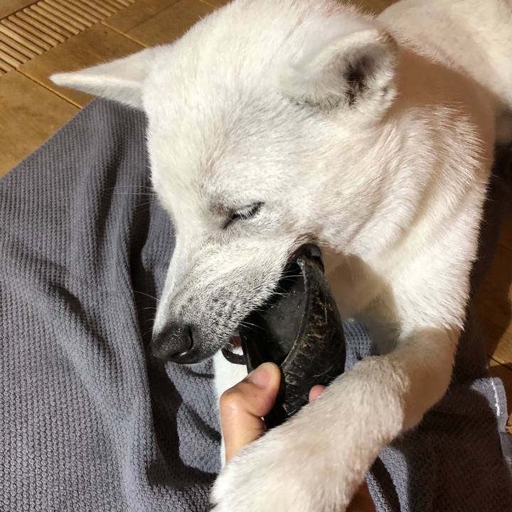 D0166bc2 0edf 4e8d 9312 f9f81d598005 1522164905121