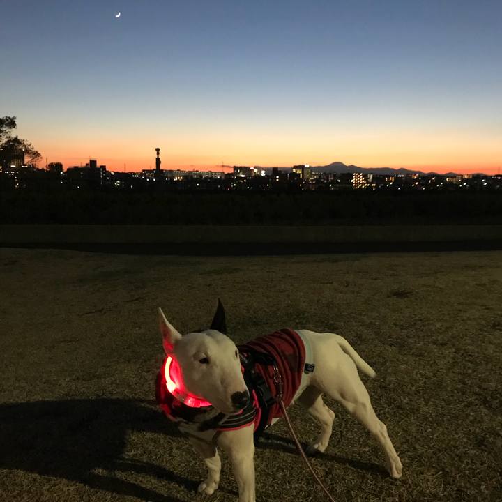 D0170470 6116 4fa2 b238 37ad0221124e 1511791107598