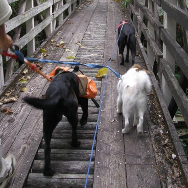 D0170633 93d4 4914 9ce9 ddccfaee8864 1558330563794