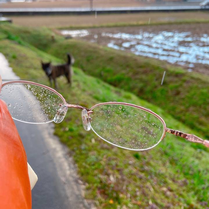 D0173e06 b037 4ecb ae65 40fb889d9282 1584486606189