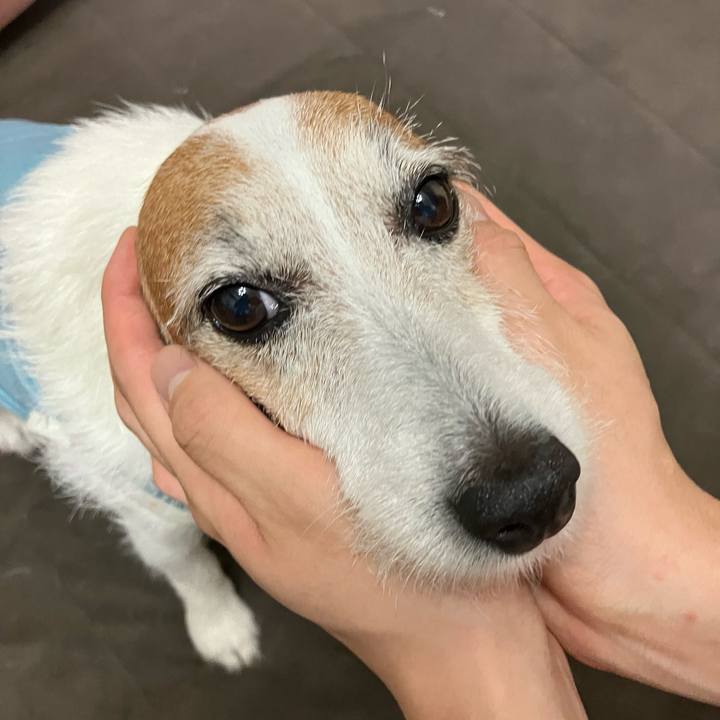 D01744ca 4f44 48d5 8afa 8fb882164f4b 1685575472440