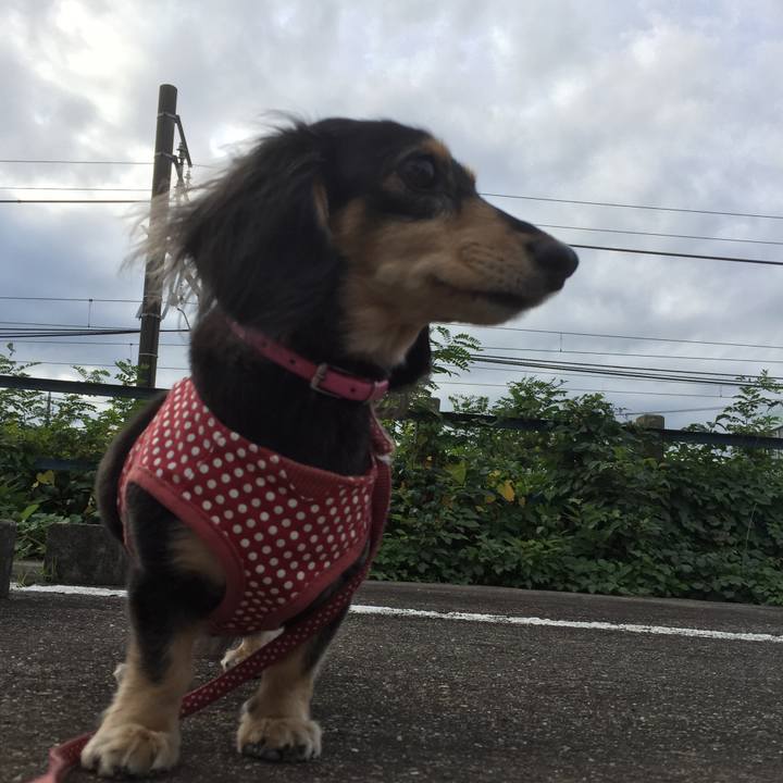 D0174b5f d0d9 4459 ba3b 7e1d90dcf344 1539387962672