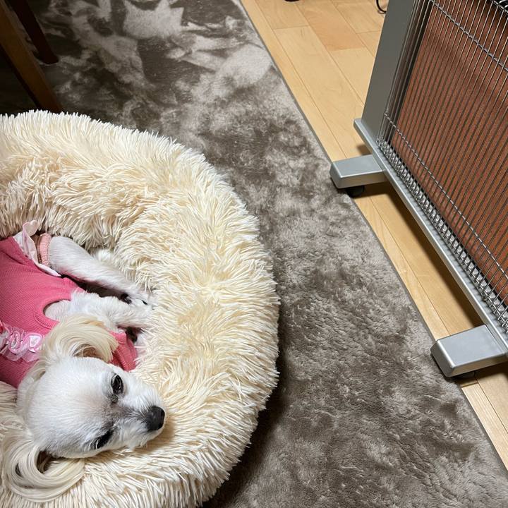 D0174f2d 6129 42b4 9693 b3661c1da3b0 1682341754758