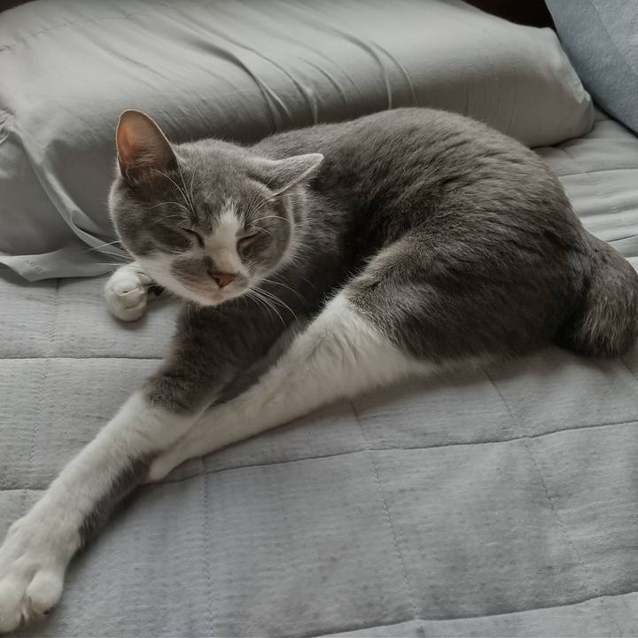 D0175ac4 8e6e 419d 91d1 b368e8093698 1622957083464