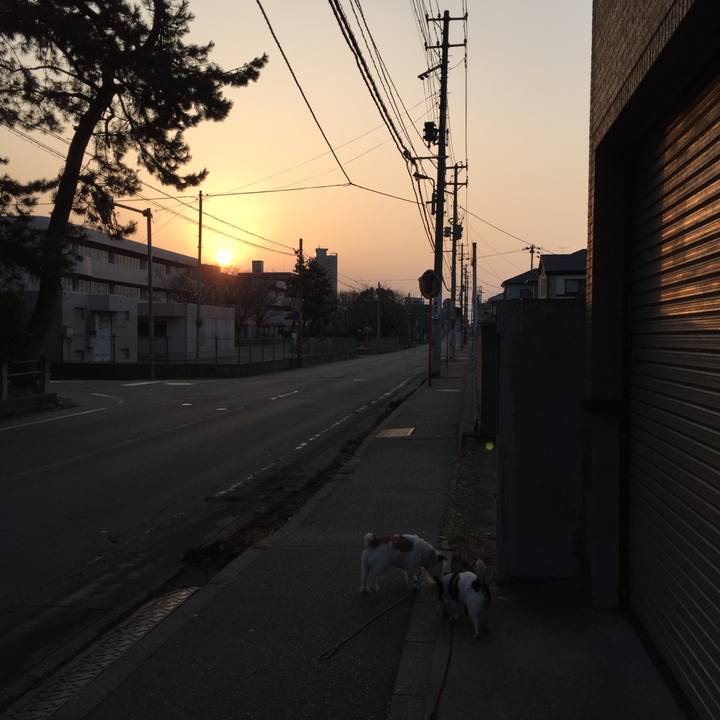 D0179d42 fa7f 46a5 91ed 9d30309ad198 1520897398059