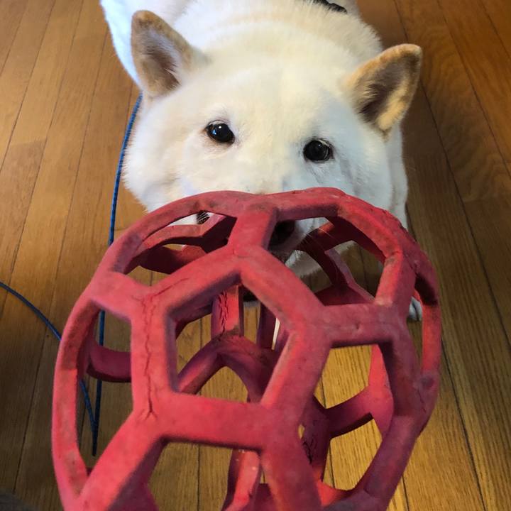 D017c76b 037a 4e3d 9105 92f846c7e72b 1732923270531