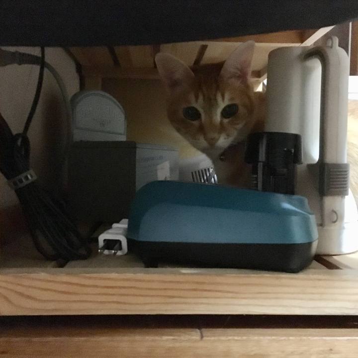 D0181da5 c25c 4e93 84f2 81aec70114b5 1548252390617