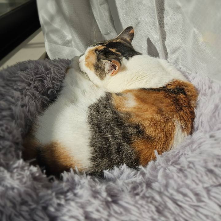 D0186e14 af65 43c9 a5b8 a7127511887d 1774568328491