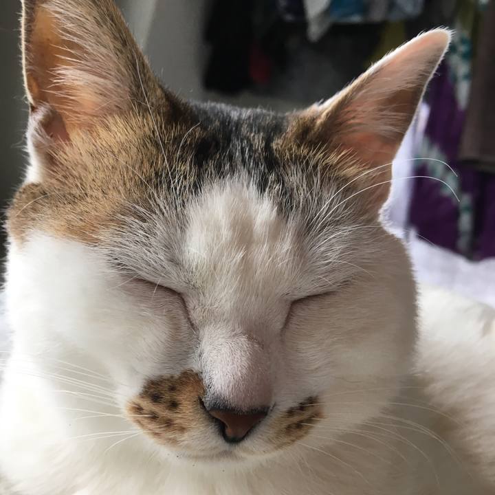 D018bf40 44e4 4c2b 94e2 65d12c534234 1557982577949