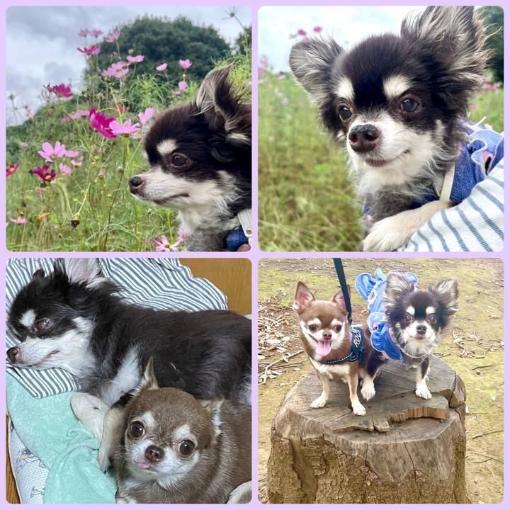 D019d6a8 043c 4fd5 955d 3a22fcc89c40 1727242526012