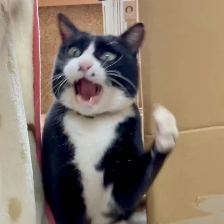 D019d6f7 6946 4ced 9ef1 2c6161d79735 1769352422380