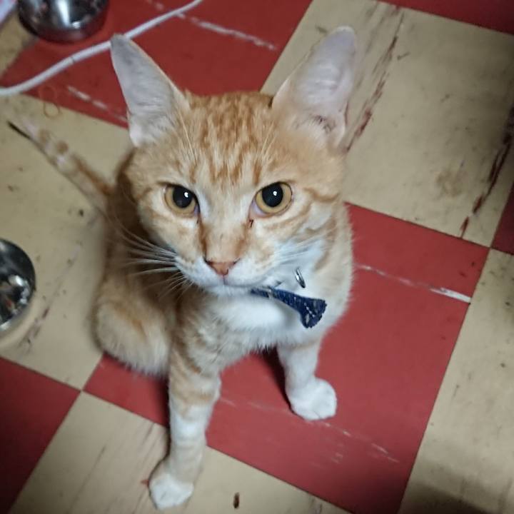 D019e102 12dc 4fbe 8890 bb60c457b0bb 1561233497288