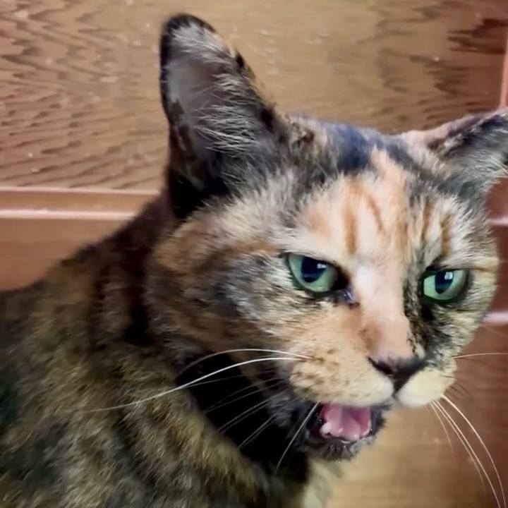 D01a3983 1a12 42a8 861b 6109da0280c6 1753754679760