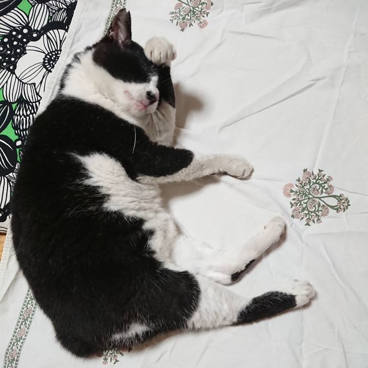 D01a3ea5 6d36 419b 83b0 bb5236ec5ff3 1660362029245