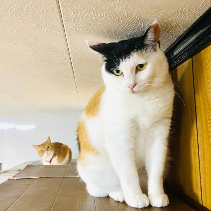 D01aafeb 737d 47a2 af02 dcf496b70d84 1718027118216