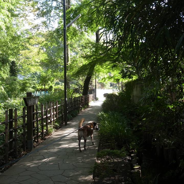 D01adb38 cd27 4a42 a6c4 3a44ba25ded8 1590886659923