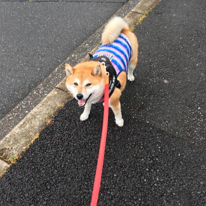 D01afac3 da51 4fdb b658 530fef17df11 1592093338206