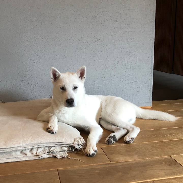 D01b323c d3dd 4892 9022 c2c6e70b8696 1520525761050