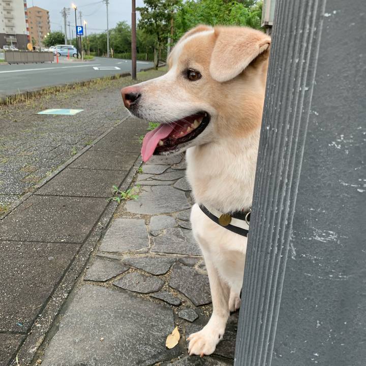 D01b53cd 3724 44f8 9891 018bea863581 1594737721847