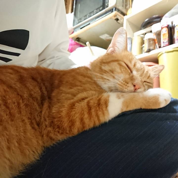 D01b67fb 9162 4028 abee 0d90d6458fef 1600513607065