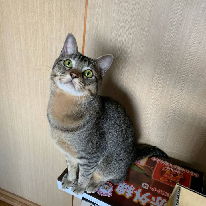 D01b81c1 33dc 482b ad5e 4a2af8c0879c 1587259204454