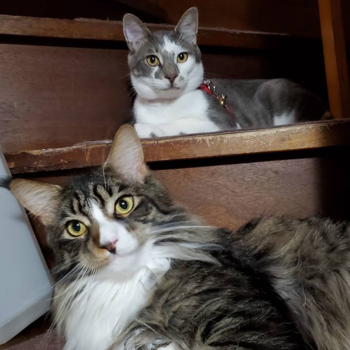 D01bc99d e937 4437 b903 566ad75a4d01 1686953497284