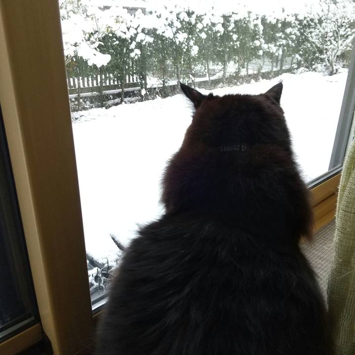 D01bd82a e39c 425a 9aeb 3d32aa9ad72d 1607987919050