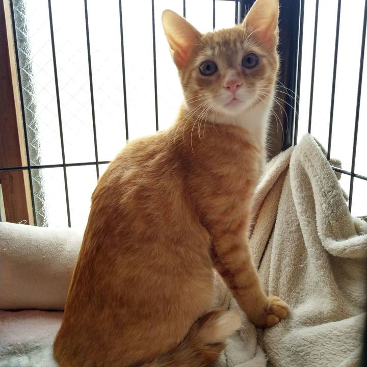 D01c08c1 51a6 4341 8084 94ed80ee350b 1609934000133