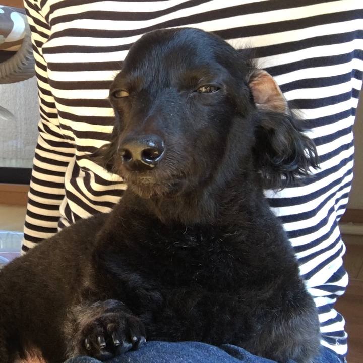 D01c2d2d 1f41 4584 8ce0 6f3a94223fbe 1694326795685