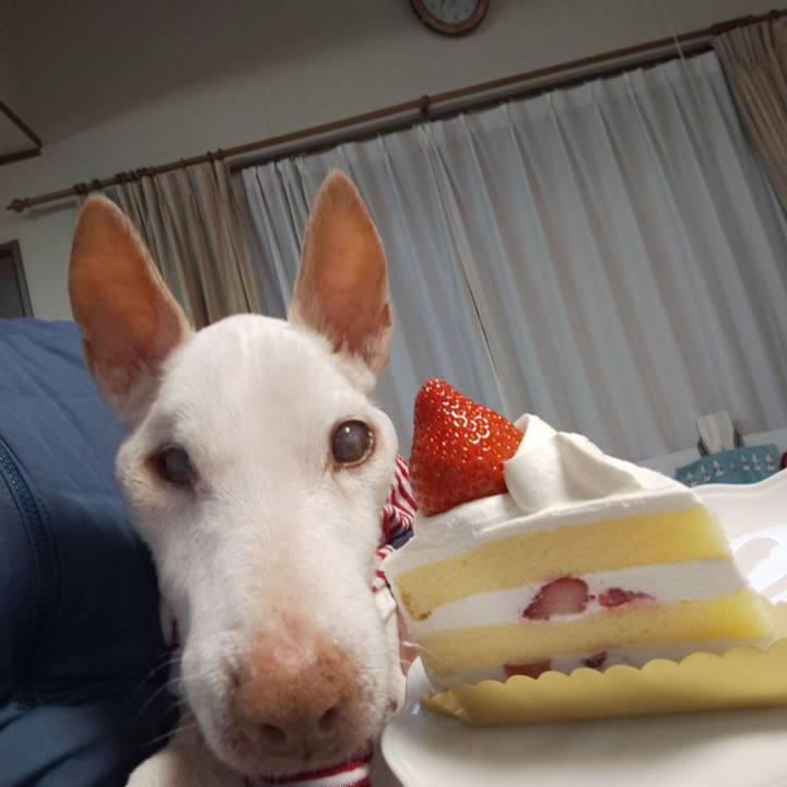 D01c4852 0c8c 490f b886 a4e331b39260 1614765742070