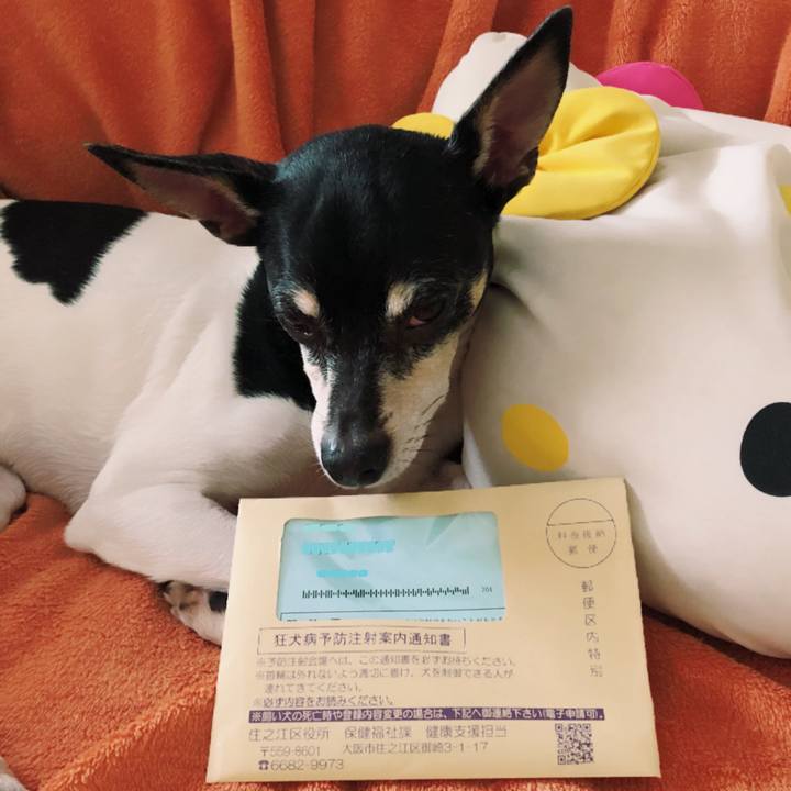 D01c5cde d29c 4a38 82b8 9589950033c6 1520211870036