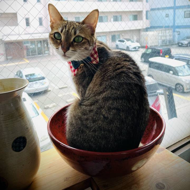 D01cb958 470b 4ae5 82fc 19c99ba889e5 1713961249494