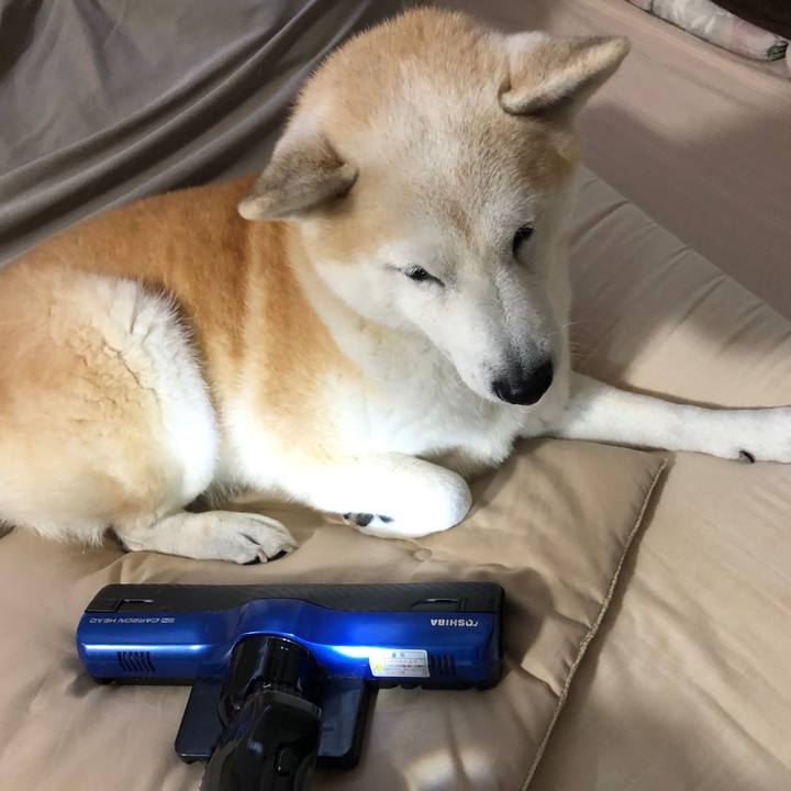 D01cd18a b0fb 41d1 a0a7 93e08769a031 1577930280141