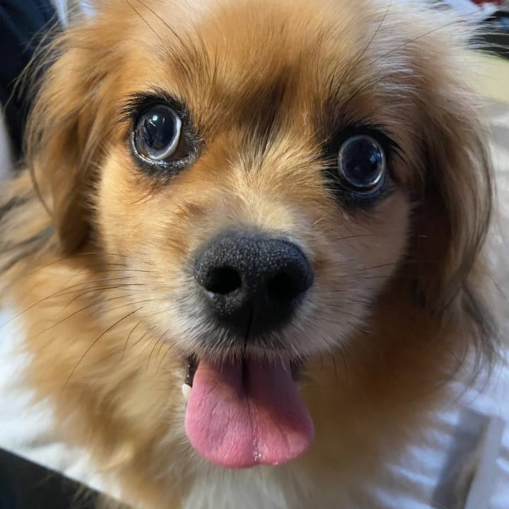 D01d0565 a0c1 4b53 8c8e d2364f50c1a6 1625520717703