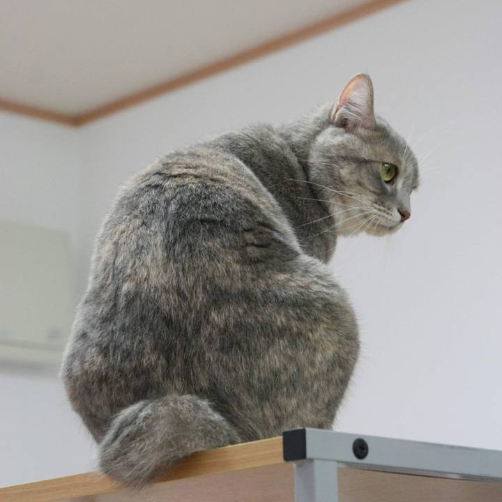 D01d3474 095d 45a3 9a86 917004e027cc 1538467832919